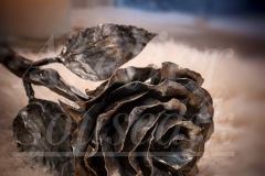 Ručně kovaná růže