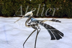 Kovaná malá volavka